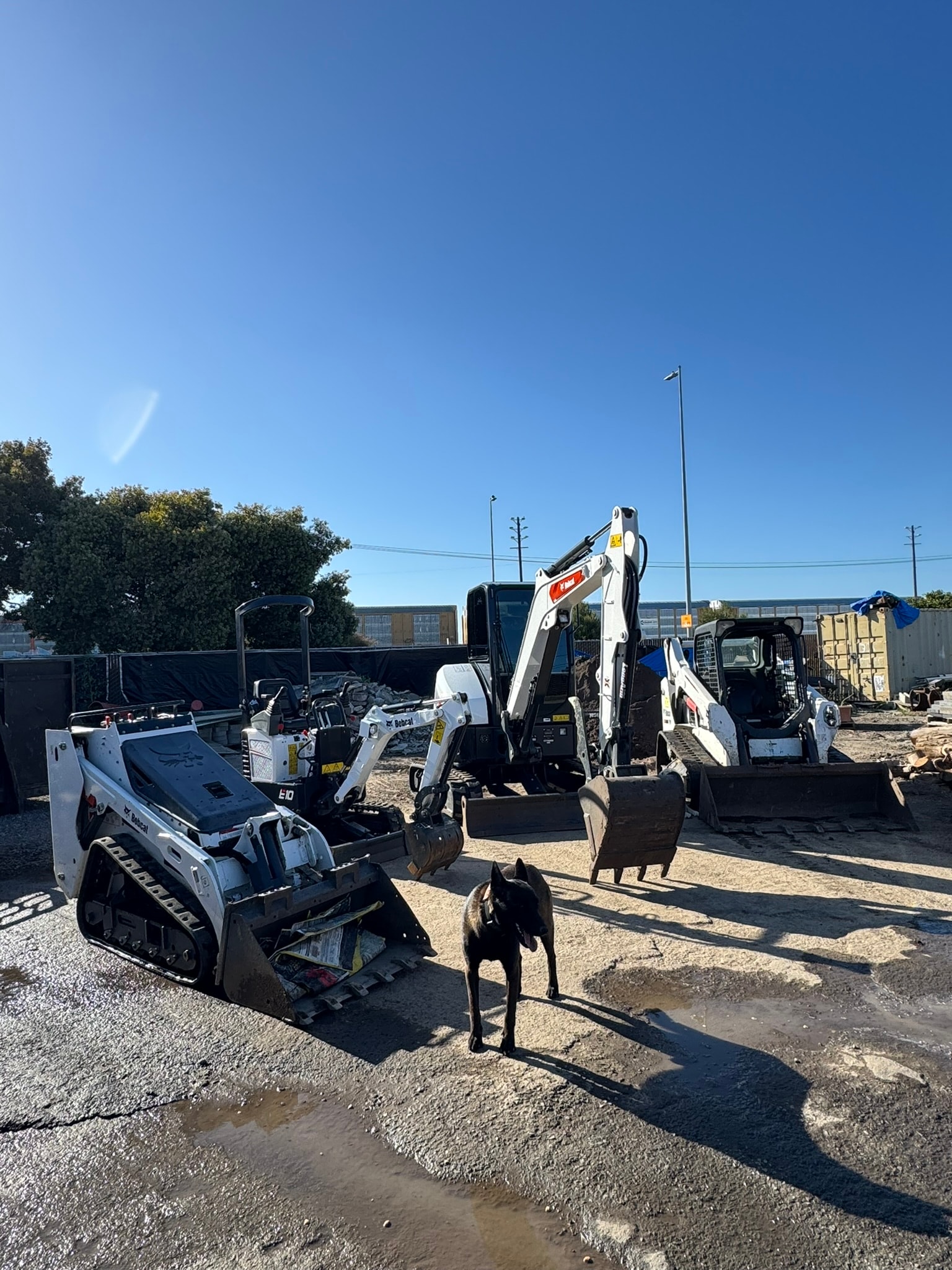 Excavators & Skid Steers